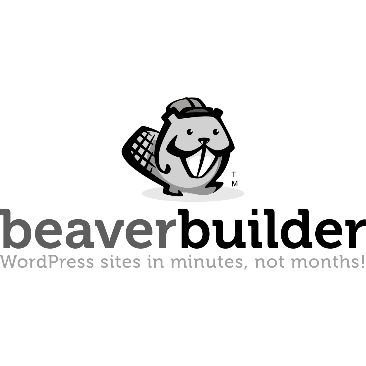 Beaver-builder